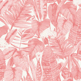 Pink Lemonade - Peel and Stick
