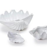 Fluted Clam shells - Med