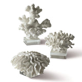 Coral Sculpture  - Med