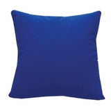 Outdoor Pillow- Sea urchin
