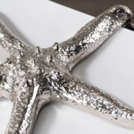A close-up of a metallic silver starfish .