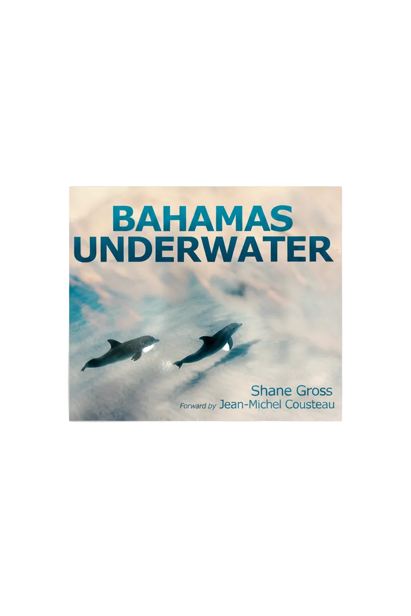 Book cover of 'Bahamas Underwater' with dolphins and a blurred underwater background.