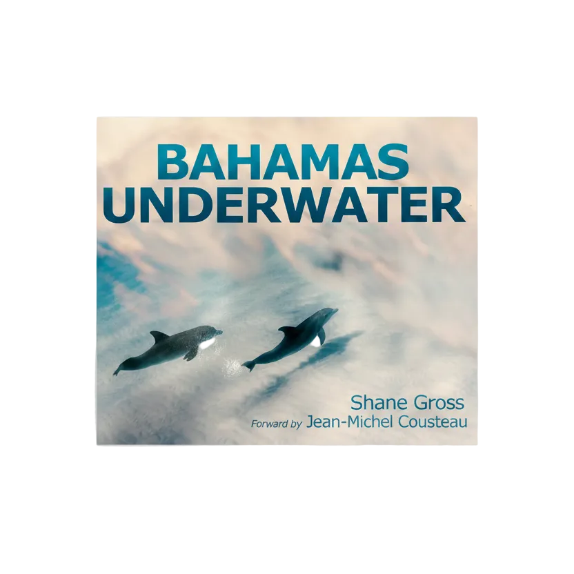 Book cover of 'Bahamas Underwater' with dolphins and a blurred underwater background.