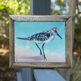 Framed painting of a sandpiper bird on a beach