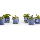 Ceramic Pot