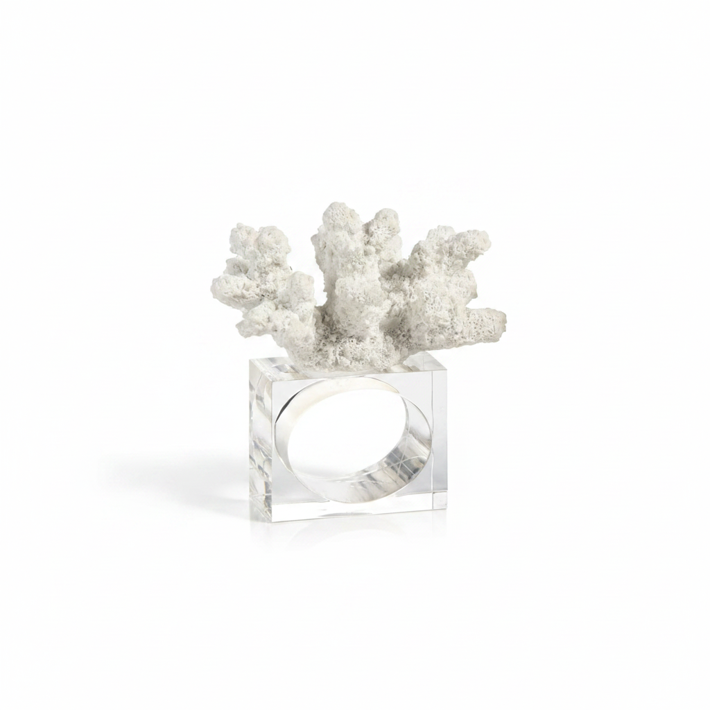 Decorative napkin  holder with white coral 