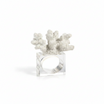 Decorative napkin  holder with white coral 