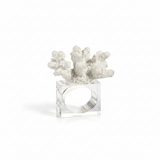 Decorative napkin  holder with white coral 