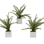 ring natural elegance to any room with the Heather Fern Ceramic Cube.