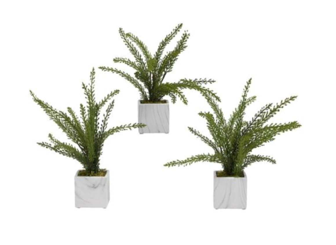 ring natural elegance to any room with the Heather Fern Ceramic Cube.