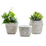 Basket Pattern Planter S/3