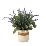 Potted plant with lavender and green leaves in a decorative pot.