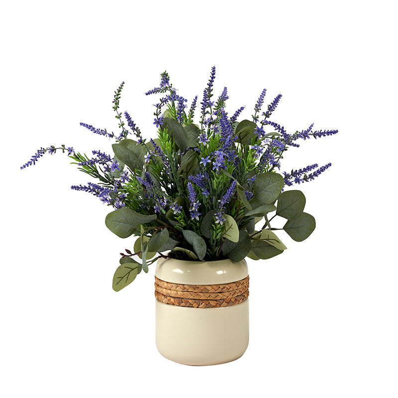 Potted plant with lavender and green leaves in a decorative pot.