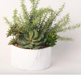 Rosemary Succulents Cora Bowl