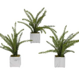 Heather Fern -White Marbled Ceramic Cube