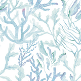 Coral Reef -Wallpaper(Custom order only)