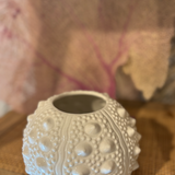 Sea urchin vase large