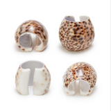 Tiger Cowrie Set of 4 Napkin Holders