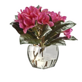 Pink Frangipani in Bevel Vase