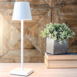 Rechargeable Led Lamp-White
