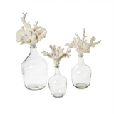 Glass Bottle Jar/Coral Stopper-Large