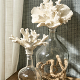 Glass Bottle Jar/Coral Stopper-Large