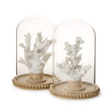 White Coral Sculpture/Round Dome