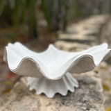 Decorative Shell -Bowl