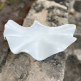 Decorative Shell -Bowl
