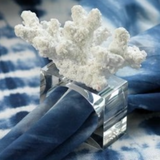 Coral Napkin Ring