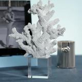 Resin Coral on Acrylic-Small