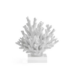 Resin Coral on Acrylic-Med