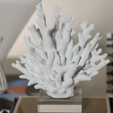 Resin Coral on Acrylic-Med