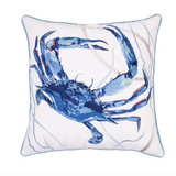 Claw/Rope-Indoor/ Outdoor Pillow(Blue)