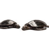 Turtle Status- Brown