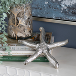 A metallic silver starfish .